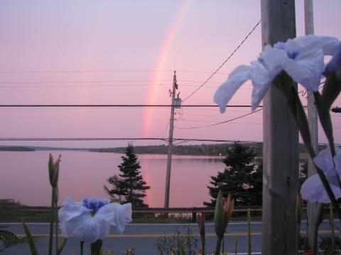 double rainbow