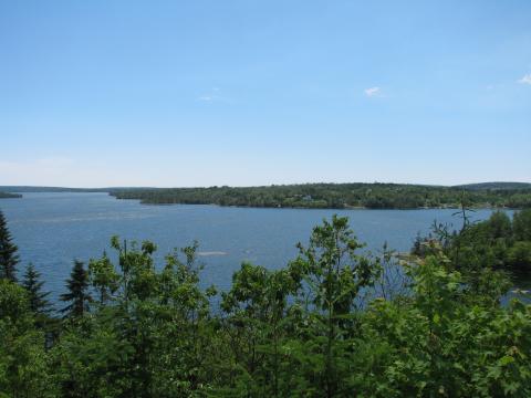 from the log cabin