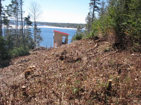 parking alley cleared looking towards tower & Jeddore Harbour