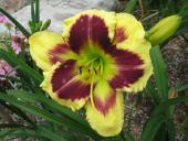 Heavenly Dark Matter